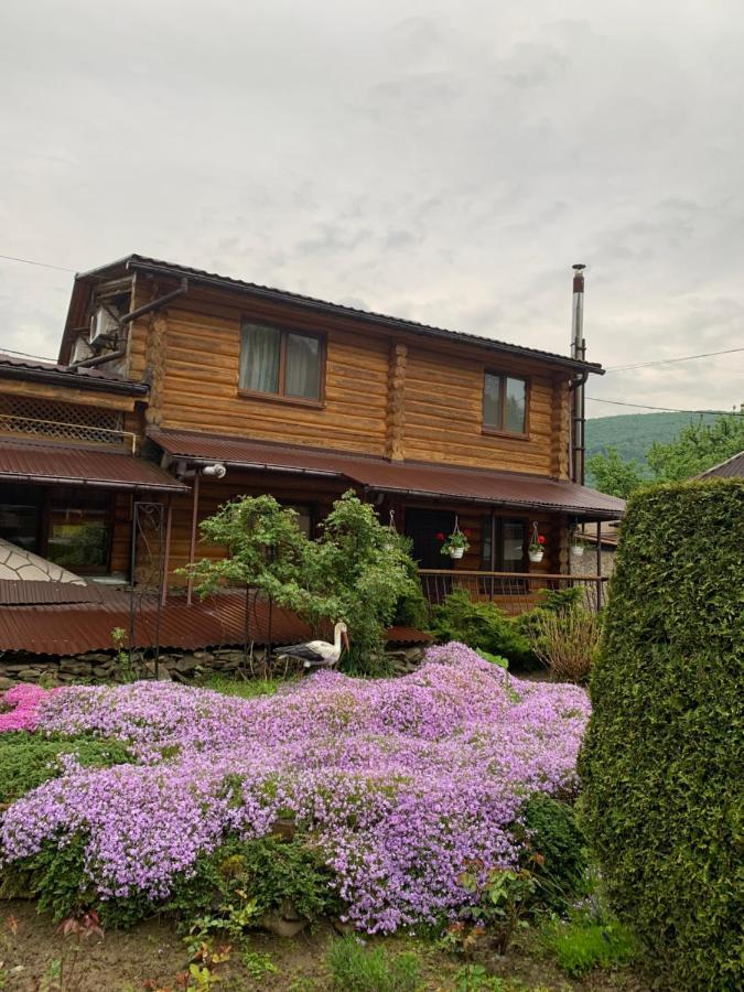 Будинок В Горах Polyana (Transcarpathia) Exterior foto